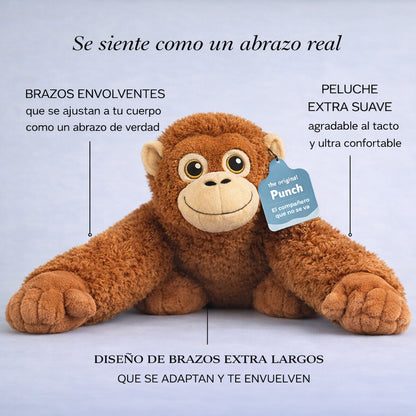 Punch – El compañero que no se va