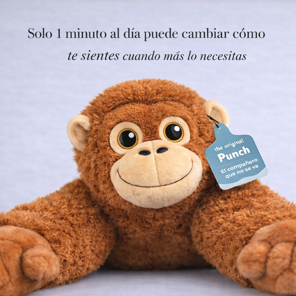 Punch – El compañero que no se va