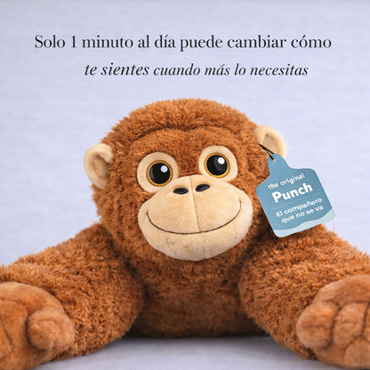 Punch – El compañero que no se va